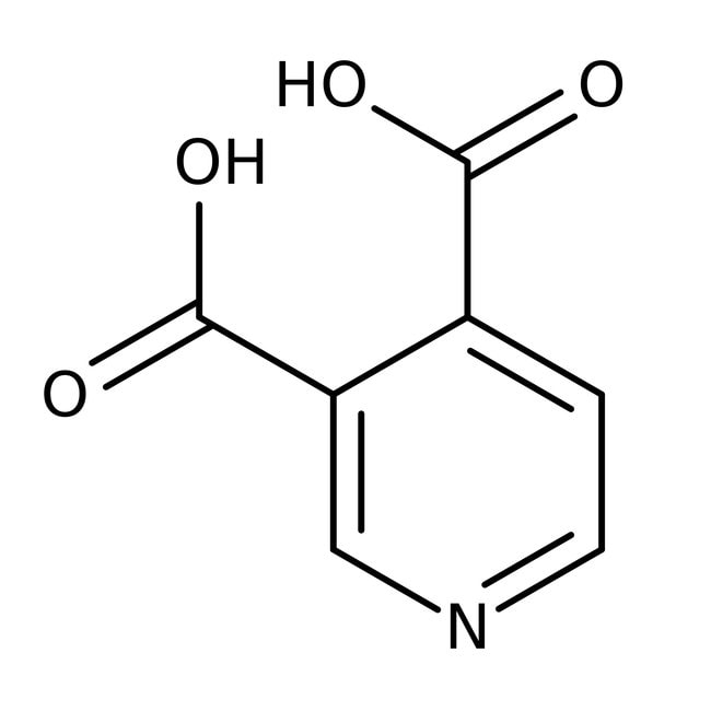 Pyridin-3,4-dicarbonsäure, 98 %, Thermo