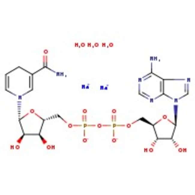 Reduziertes Beta-Nicotinamid-Adenin-Dinu