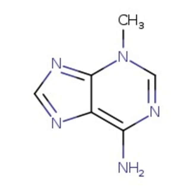 25MG Autophagy Inhibitor, 3-MA  25mg