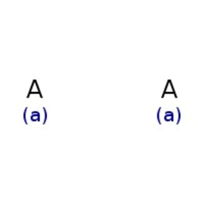 12-Molybdophosphoric acid hydrate, H3PO4