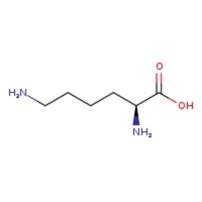 100GR L-Lysine, 98% .