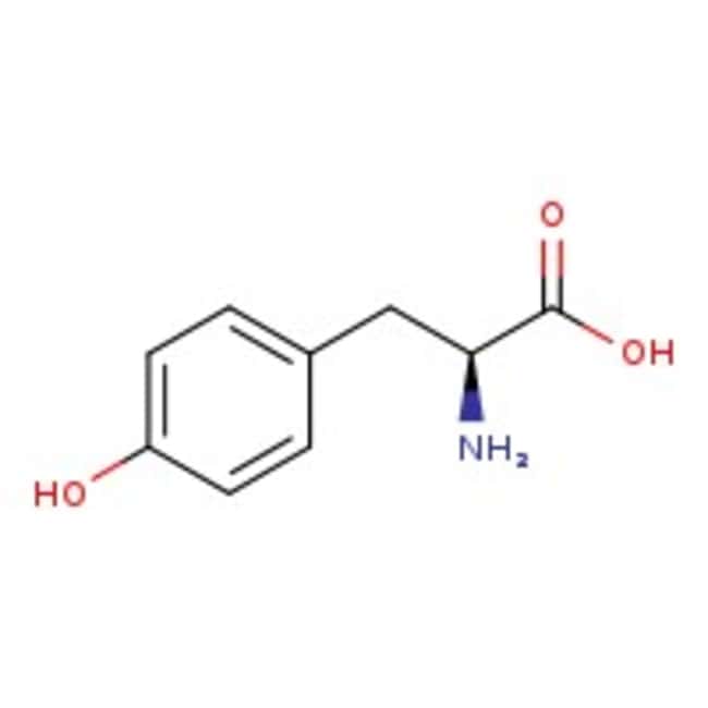100GR L-Tyrosine, 99+% .