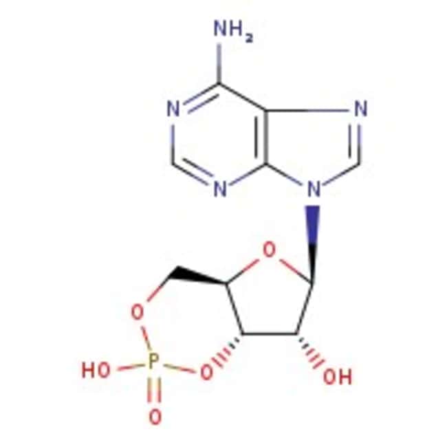 Adenosin-3',5'-zyklisches Monophosphat,