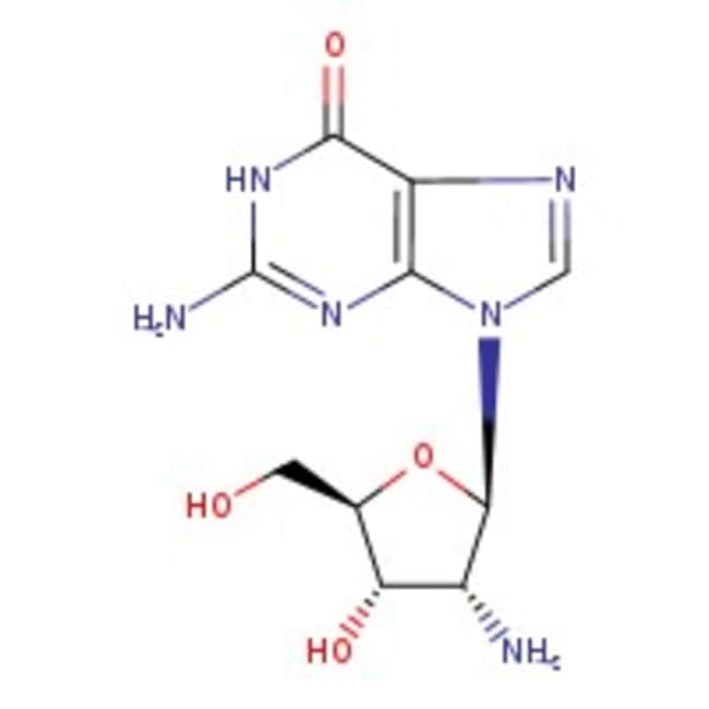 2'-Amino-2'-Desoxyguanosin, 98 %