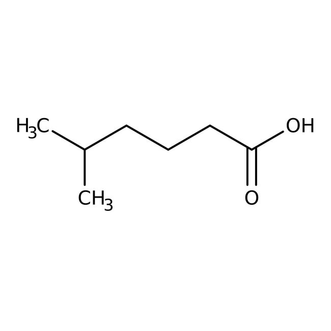5-Methylhexanoic acid, 98%, C7H14O2, CAS