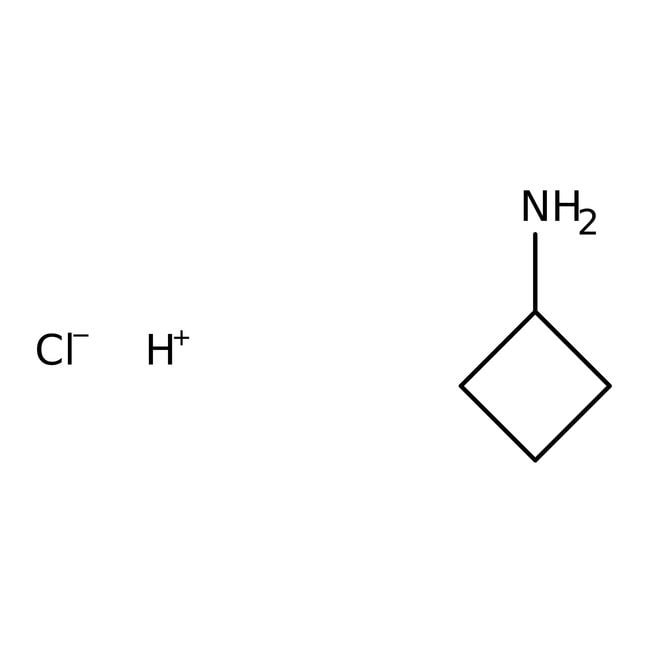 Cyclobutylaminhydrochlorid, 97 %, Thermo