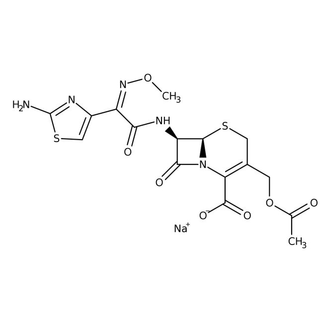 1GR Cefotaxime sodium salt, 95% .
