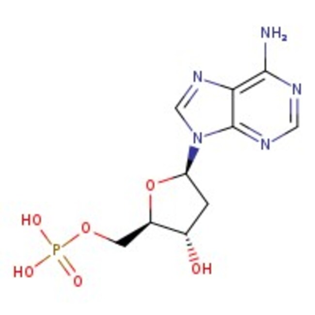 2'-Desoxyadenosin-5‚-Monophosphat, 98%
