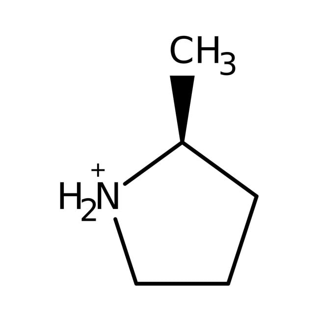2-Methylpyrrolidine, 97%, C5H11N, CAS Nu