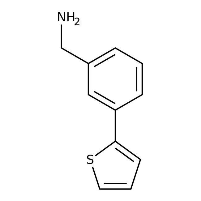 (3-Thien-2-ylphenyl)methylamine, 97%, C1
