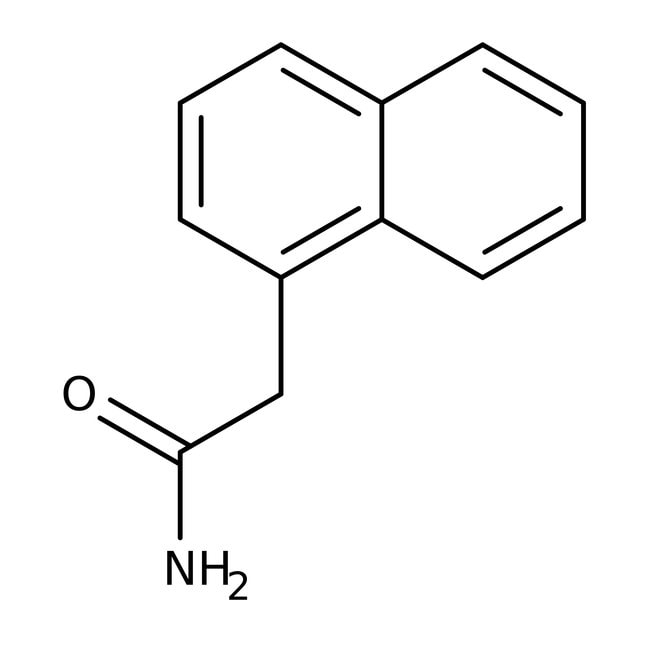 1-Naphthylacetamide, 98%, C12H11NO, CAS