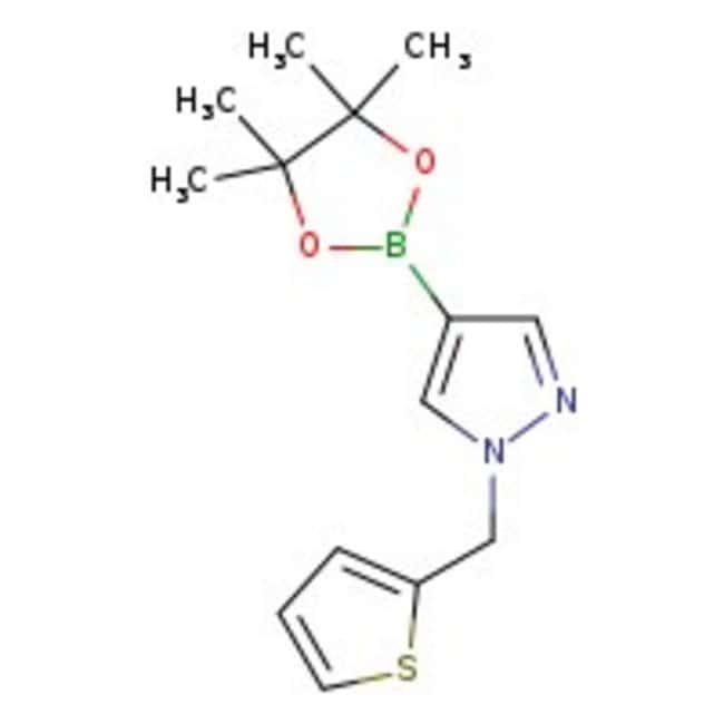 1-[(2-Thienyl)methyl]-1H-pyrazole-4-boro