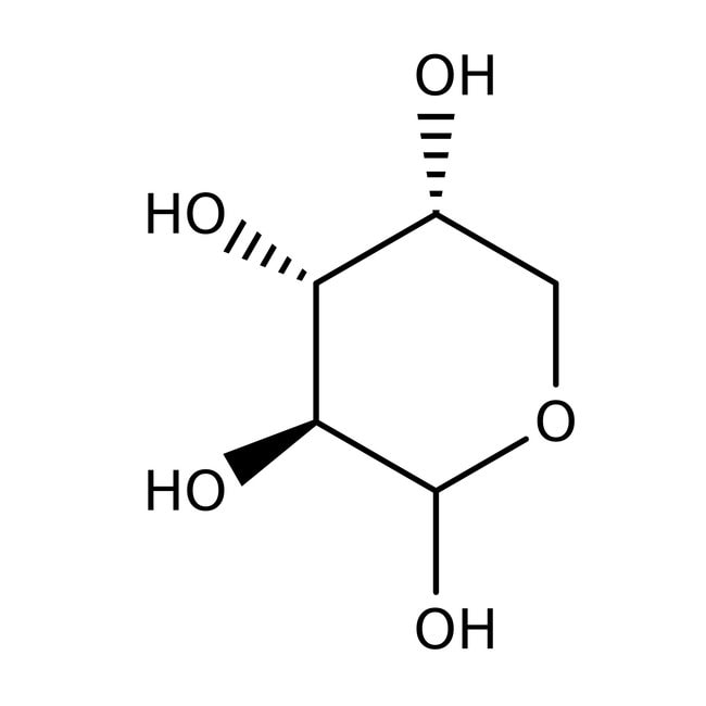 L-(+)-Arabinose, 99 %, Alfa Aesar, Menge