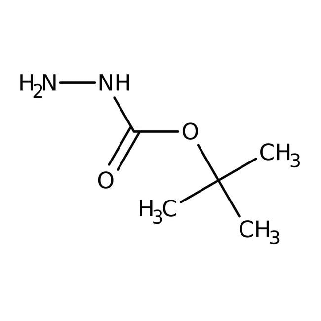 tert-Butylcarbazat, 98+%, Thermo Scienti
