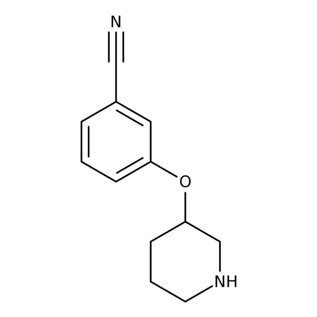 3-(3-Piperidinyloxy)benzonitrile, 99%, C