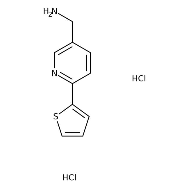 (6-Thien-2-ylpyridin-3-yl)methylamine di
