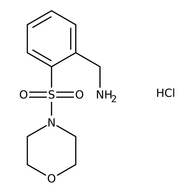 2-(Morpholinosulfonyl)benzylamine hydroc