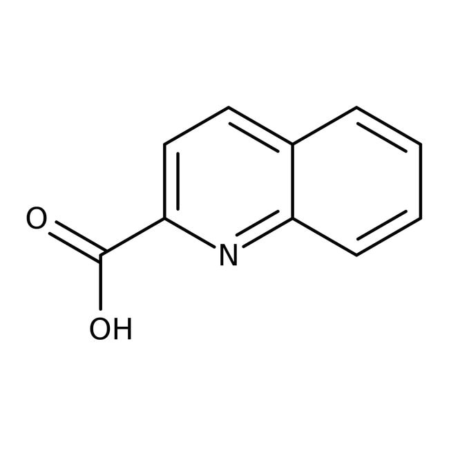 Chinolin-2-carbonsäure, 98 %, Thermo Sci