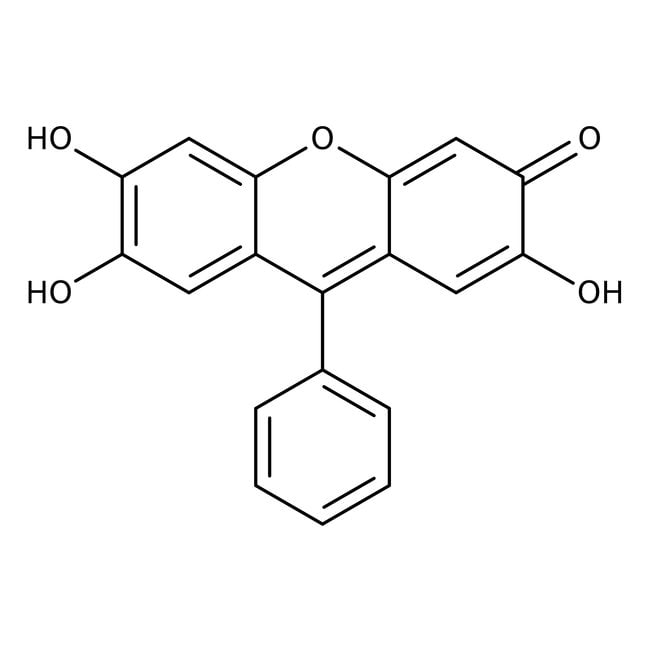 9-Phenyl-2,3,7-Trihydroxy-6-Fluoron, The