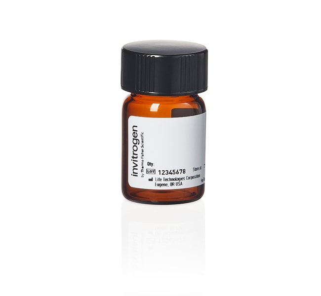 1-PYRENEBUTANOIC ACID, SU The amine-reac