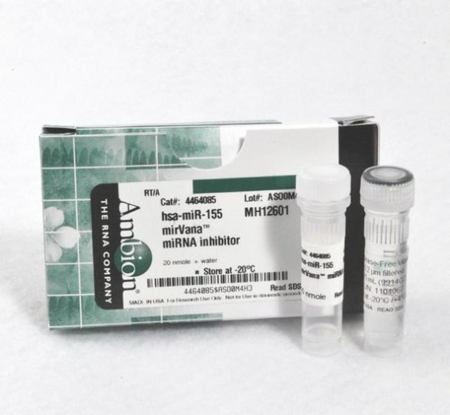 Ambion mirVana miRNA-Inhibitor, Menge: 2