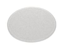 MATTIERTES FILTERGLASS 45MM FÜR 500,  Uo