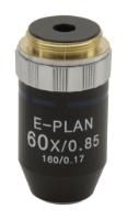 OBJECTIVE 60X/0,80 N PLAN FR BL254-TL254