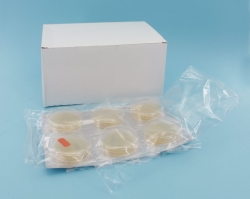 [EN]SABOURAUD CHLORAM AGAR CONTACT PL TR