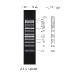 50 BP DNA-LEITER,  UoM: 1 * 1 KIT