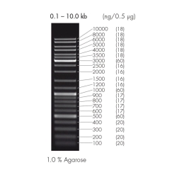DNA LEITER-MIX,  UoM: 1 * 1 KIT