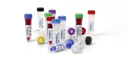 DNA POLYMERASE TEMPASE HOTSTART 5U/µL,