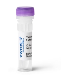 DNA POLYMERASE TAQ 5U/µL,  UoM: 1 * 250