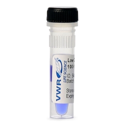 LOW DNA LADDER 100-1.000 bp,  UoM: 1 * 1