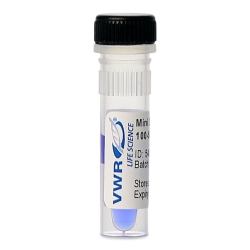 MINI DNA LADDER, 100-500 bp,  UoM: 1 * 1