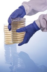 YGC AGAR PETRI 90MM,  UoM: 1 * 20 items