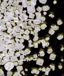 NATRIUMCHLORID ZUR ANALYSE ACS,ISO,  UoM